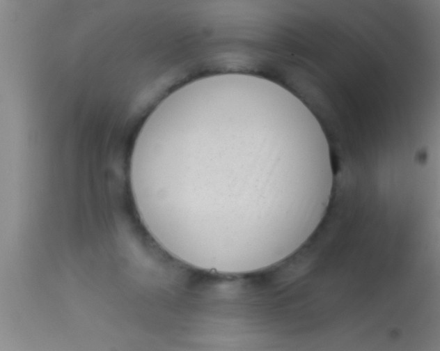 X0000113940306200910161921