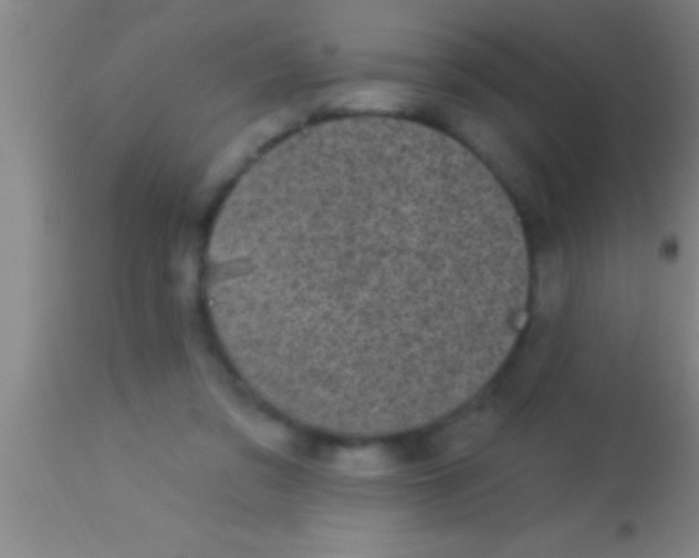 X0000113940309200910161921