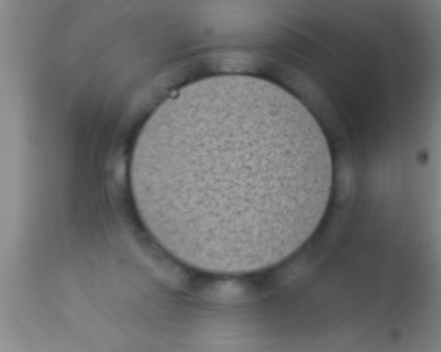 X0000113940310200910161921