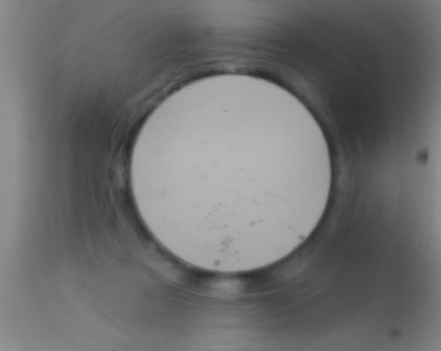X0000113940313200910161921