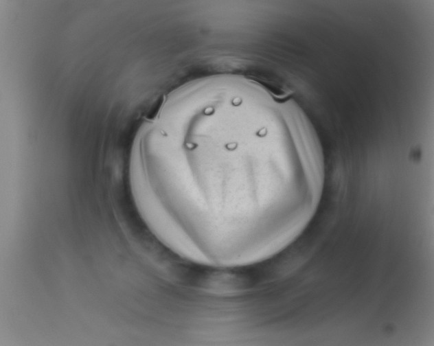 X0000113940315200910161921