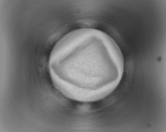 X0000113940318200910161921
