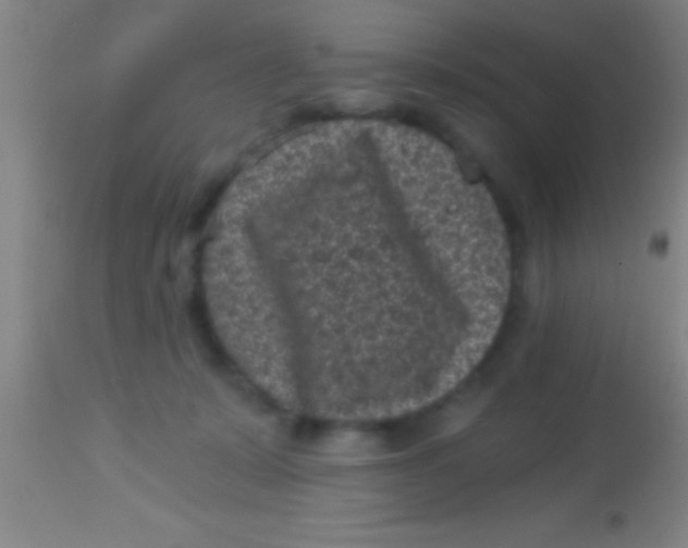 X0000113940319200910161921