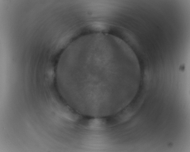 X0000113940320200910161921