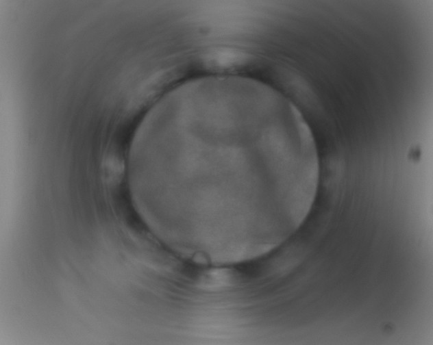 X0000113940324200910161921