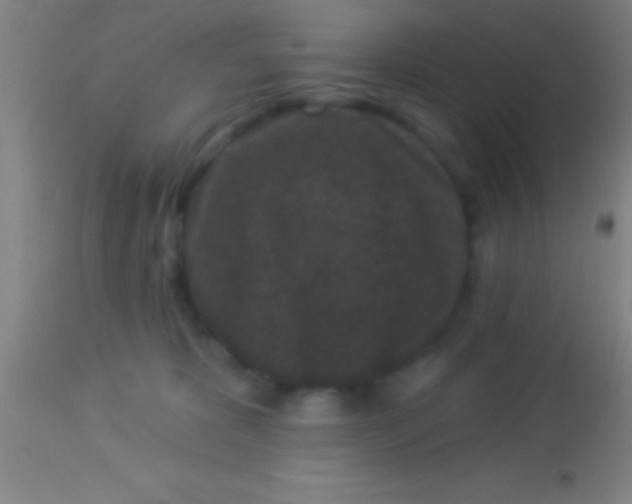 X0000113940325200910161921