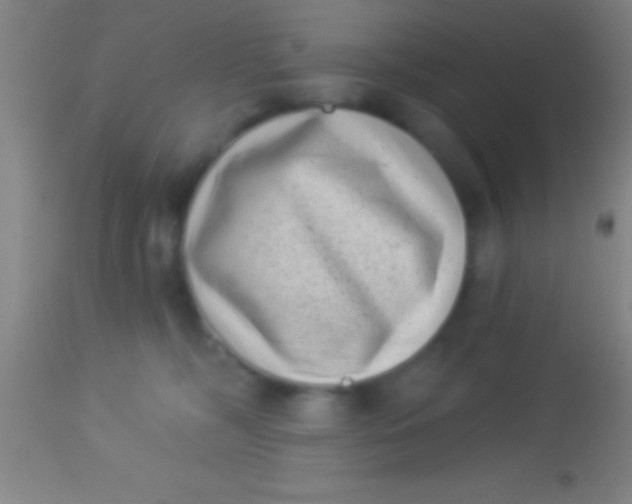 X0000113940326200910161921