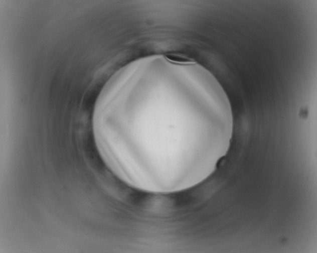 X0000113940327200910161921