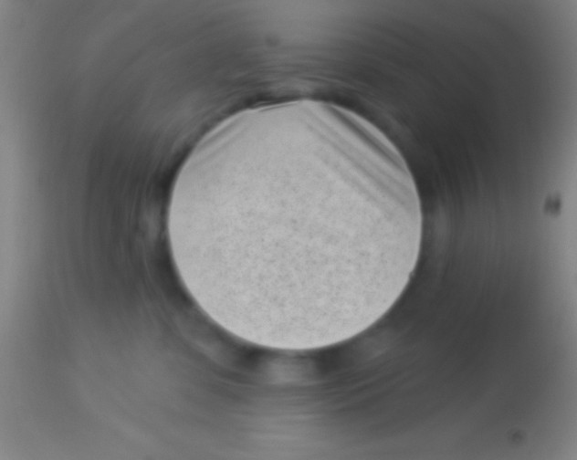 X0000113940331200910161921