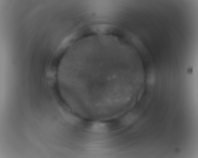 X0000113940332200910161921