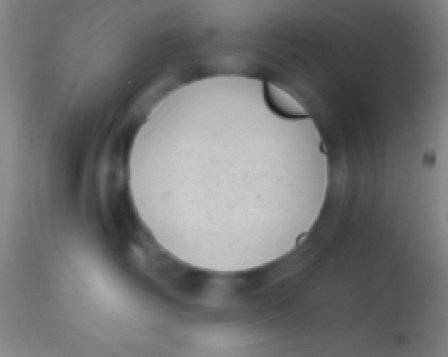 X0000113940334200910161921