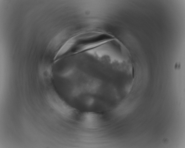 X0000113940336200910161921