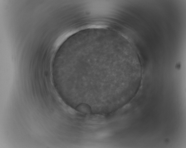 X0000113940337200910161920