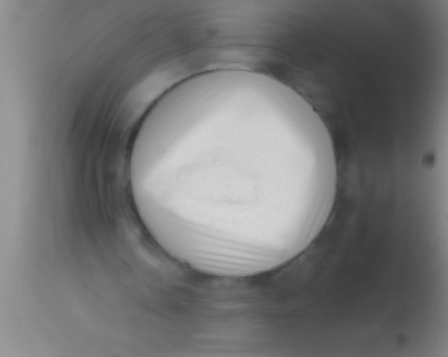 X0000113940338200910161920