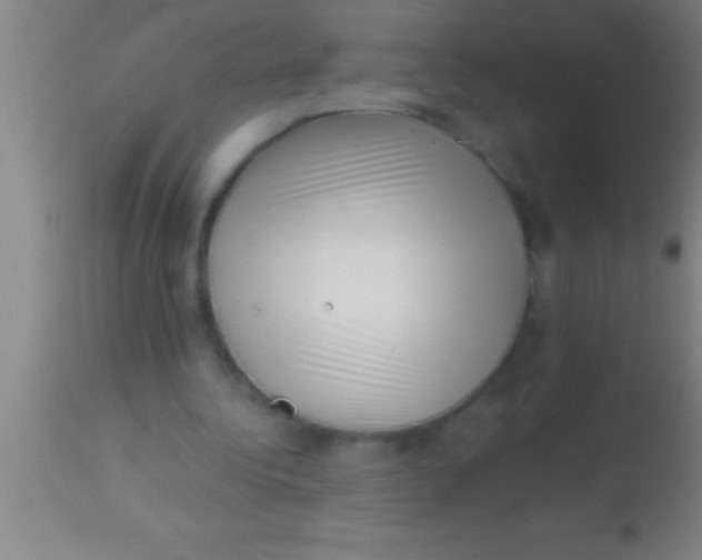 X0000113940340200910161920