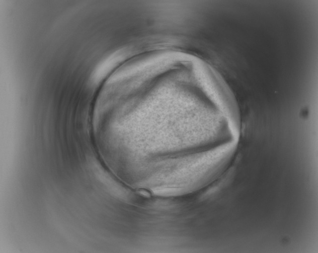 X0000113940341200910161920