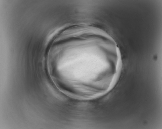 X0000113940342200910161920