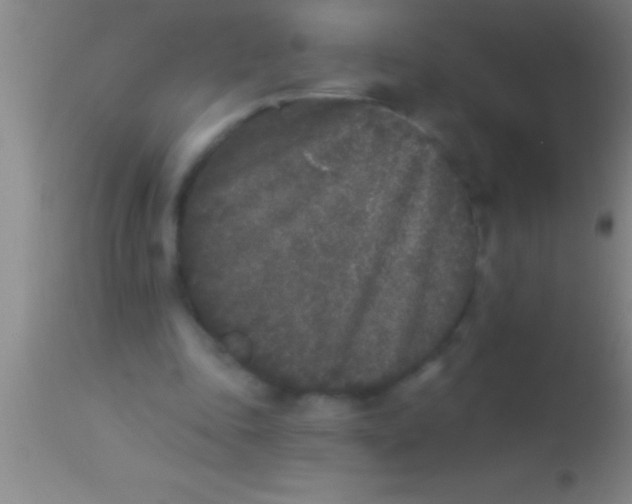 X0000113940343200910161920