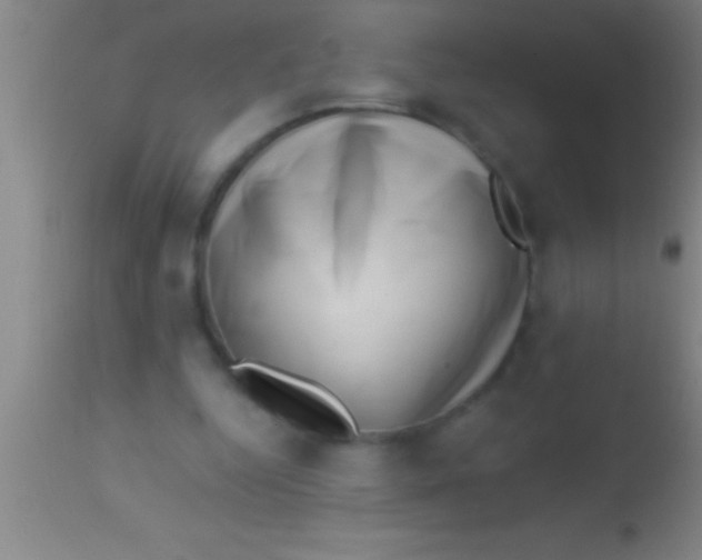 X0000113940344200910161920