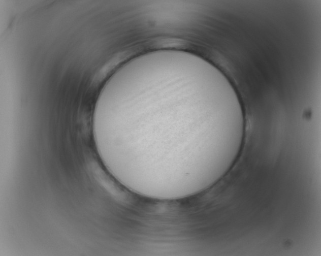 X0000113940345200910161920
