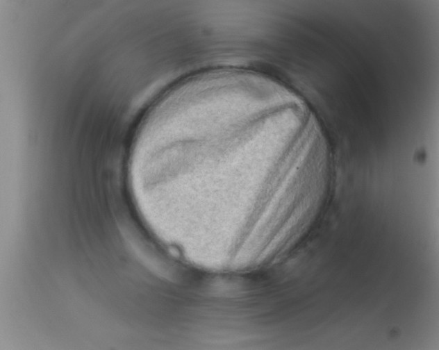 X0000113940346200910161920