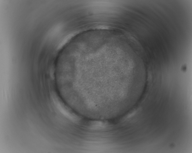 X0000113940347200910161920