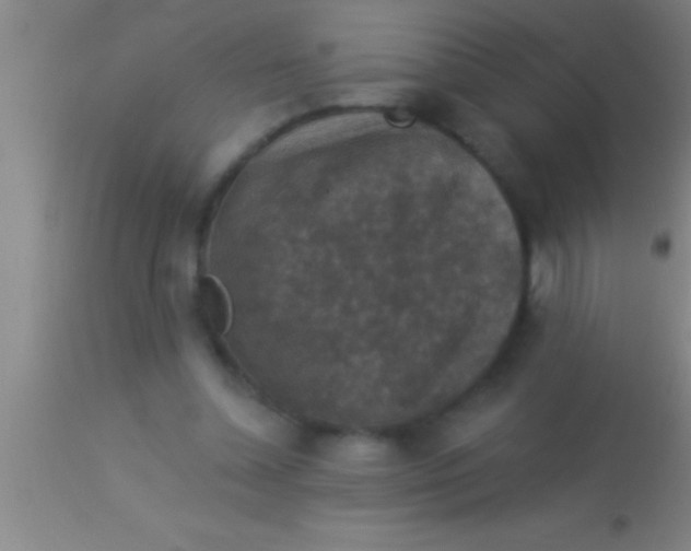 X0000113940348200910161920