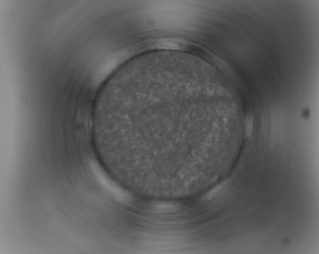 X0000113940349200910161920