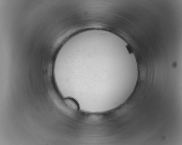 X0000113940350200910161920