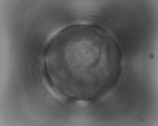 X0000113940352200910161920