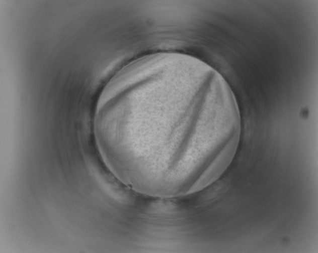 X0000113940354200910161920