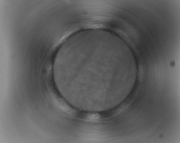 X0000113940355200910161920