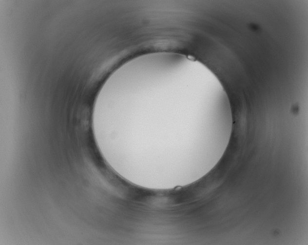 X0000113940356200910161920