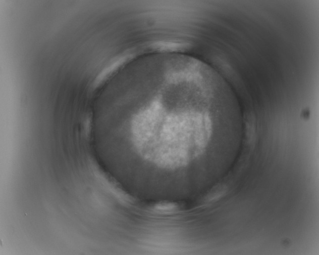 X0000113940357200910161920