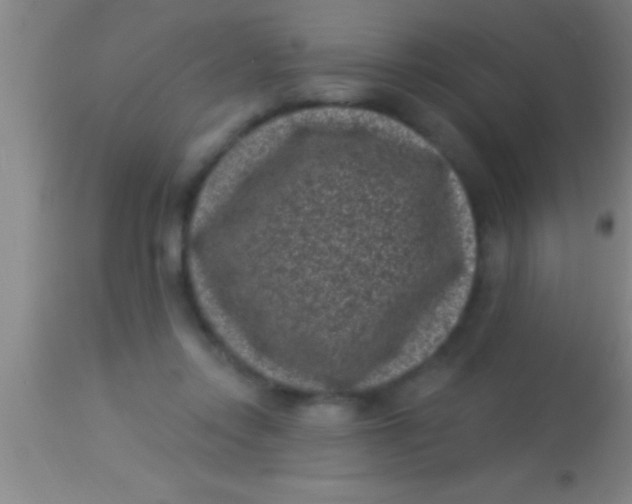 X0000113940358200910161920