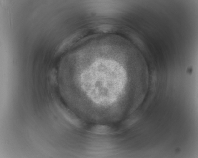X0000113940361200910161920