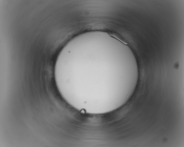 X0000113940362200910161920