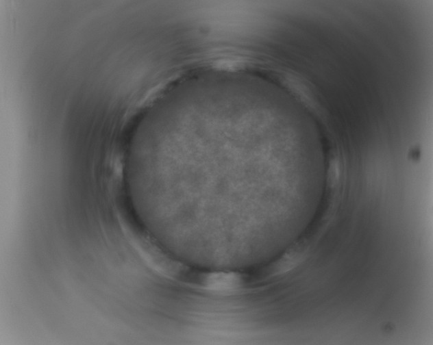 X0000113940363200910161920