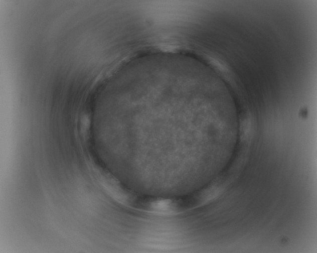 X0000113940365200910161920