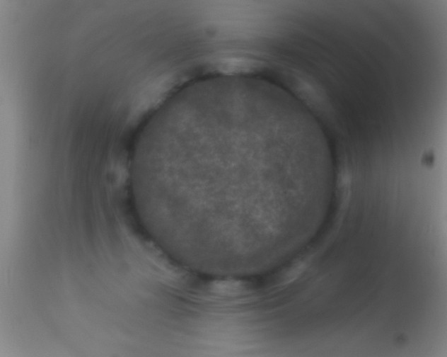 X0000113940367200910161921