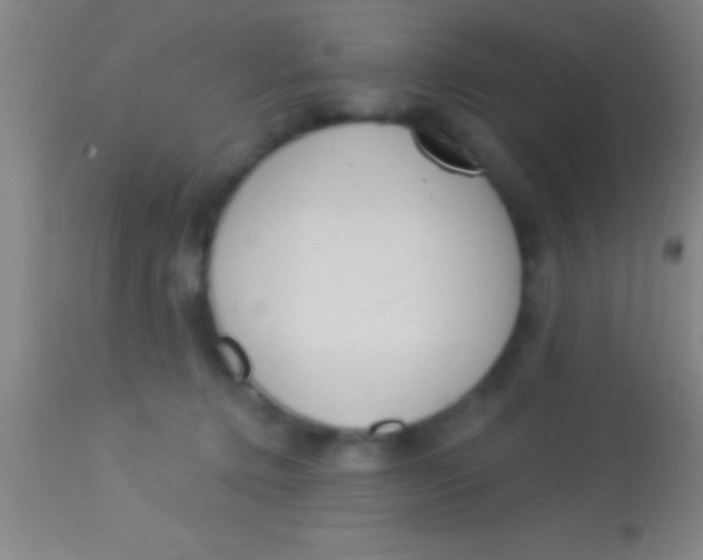 X0000113940368200910161921
