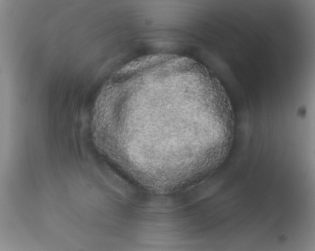 X0000113940369200910161921