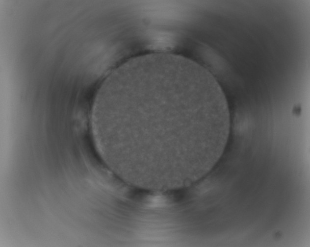 X0000113940370200910161921