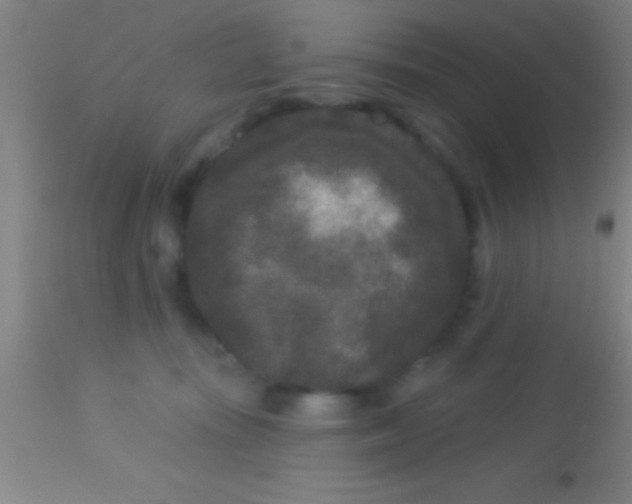 X0000113940371200910161921