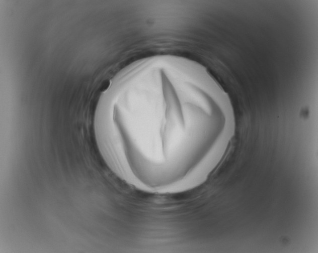 X0000113940372200910161921