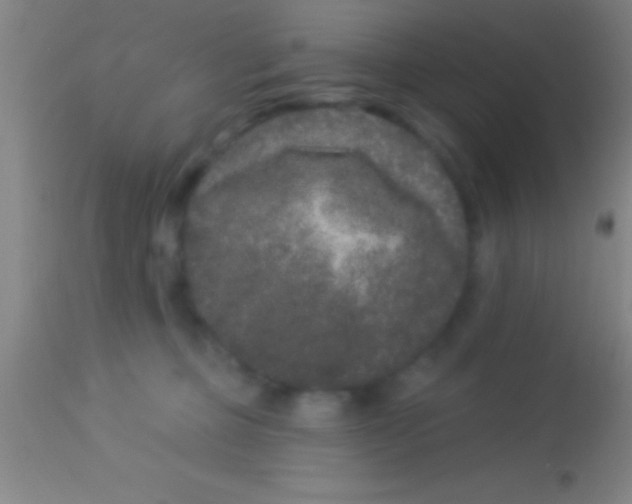 X0000113940373200910161921