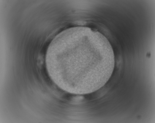 X0000113940374200910161921