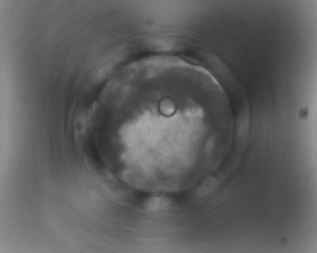 X0000113940376200910161921
