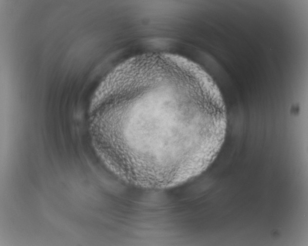 X0000113940377200910161921