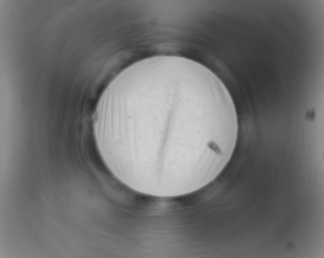 X0000113940379200910161921
